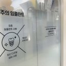 365플란트치과의원 네이버블로그