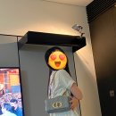 카로인 | 디올 카로백 스몰 스톤그레이&amp; 졸리백 미니 후기🛍️