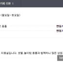 매력it개 이미지