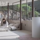 빌라누트 이미지