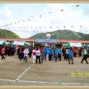 대율초등학교 총동창회 한마음 체육대회 행사 이미지