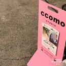 신의손스튜디오 | 대구 웨딩스튜디오/ 인물 중심의 정석, '꼬모스튜디오 대구점' 방문 상담 및 당일 계약 후기