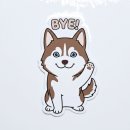 [평택근교 대형견 단독운동장]프라이빗 단독 마당 대여 '산멍때려' 내돈내산 촌크닉 솔직후기