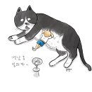 함포고복