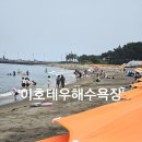 빽다방제주이호테우점 | [제주/여행] 제주 이호테우해수욕장 & 해수풀장 파라솔, 구명조끼, 튜브대여, 샤워실 요금 총정리!