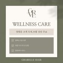 웰니스케어 네이버블로그