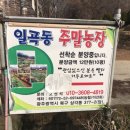 시일농장 이미지