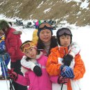 가족나들이 이미지