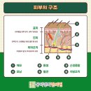 공덕경희한의원 이미지