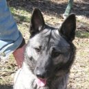 하운드PC 이미지