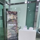 클레이아크 김해 | 김해 클레이아크 7살 아이 체험 후기｜돔 휴관, 비 오는 날 다녀온 이야기