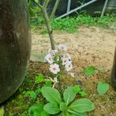 주천농장 이미지