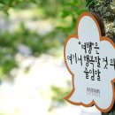 낭만하우스 이미지