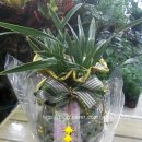 산호동223 이미지