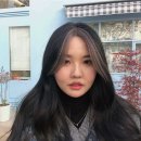상록수헤어샵 - 동작구 | 상록수헤어샵