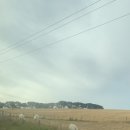 소보소농장 이미지