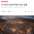 원더풀여행사 이미지