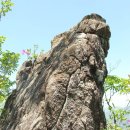 하동 성제봉 철쭉산행(세금산악회) 이미지