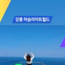 [즐거운 추억] 3박4일 강원도 가족여행 코스 🌈