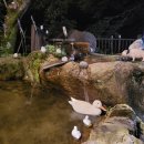 지리산봄날 이미지