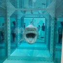 질병없는 삶 뉴스타트 | 서울 가볼만한 전시 데미안 허스트 개인전 국립현대미술관 서울 실제 방문 후기