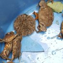 해뜨는 언덕 이미지