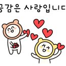 모모네김밥
