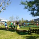 동탄 수질복원센터 파크골프장 이미지