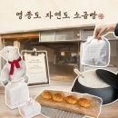 쥐씨인천 | 영종도 소금빵 자연도소금빵 평일 오후 방문 후기 | 평일 오후 웨이팅 가격 주차정보