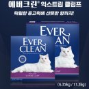 🐾 에버크린 ES 언센티드 고양이 모래 후기