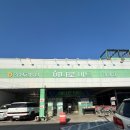 하이몽 | 가평 애견동반 펜션 | 실내수영장·실내바베큐 가능한 하이몽 내돈내산 후기 🐶