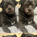 학사3길 1-1 이미지