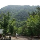 그루터기 캠핑장 이미지