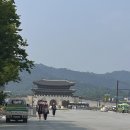 미시엔