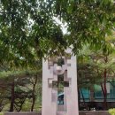 꿈바위 유치원 | 포천 아트밸리 천주호 조각공원 풍경 모노레일 탑승후기
