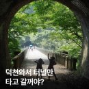 덕천주변 맛집들 총동원 이미지