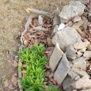 율하우스 이미지