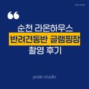 순천 라온하우스 반려견 동반 글램핑장 촬영 후기_포도 스튜디오