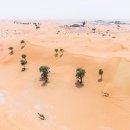 두바이의 모래 폭풍 이미지
