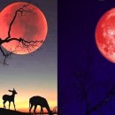 (주)영롱 이미지