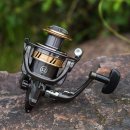 (주)돔돔 이미지