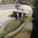 상미농장 이미지