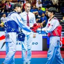 월드태권도 이미지