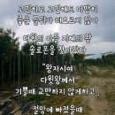 🇰🇷 This, too, shall pass away 이미지