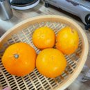 힘찬낙지 | [ 군자역 대방어 회식 후기 힘찬낙지 ] 내돈내산 대방어 후기