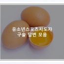 경동성인PC | 유소년스포츠지도자 유소년 관련 구술 답안