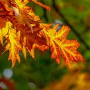 (주)제이엠텍코리아 이미지