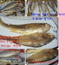 영광마트 Daum카페