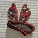 펫츠런 | 2025 펫츠런_코인, 편의점, 펫타로, 인스타그램 사전 인증 등 오픈런 방문/내 강아지는 일진짱