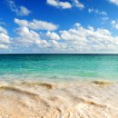 미술심리상담 이미지